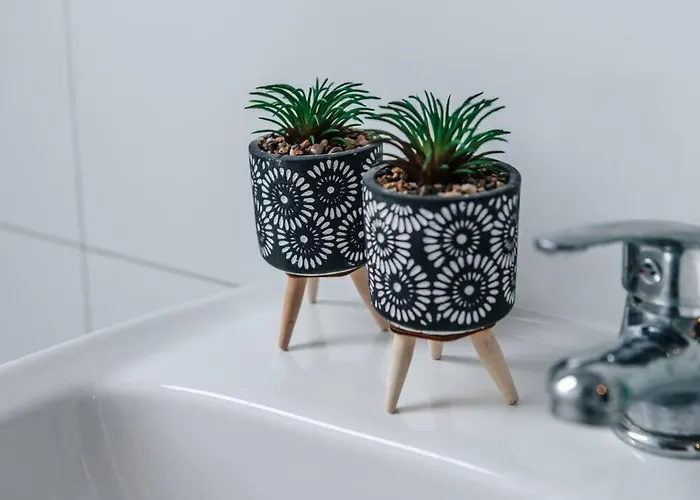 Central-living Blue - Netflix - Wifi